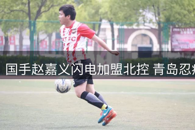 国手赵嘉义闪电加盟北控 青岛忍痛割爱背后暗藏玄机