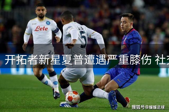 开拓者新星夏普遭遇严重膝伤 社交媒体账号突然注销