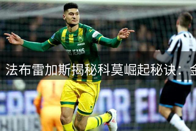 法布雷加斯揭秘科莫崛起秘诀：金钱之外的关键因素